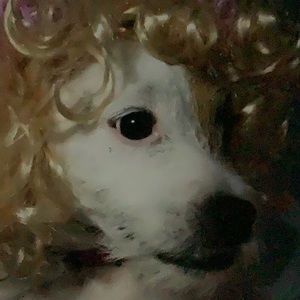 Go follow @angelakos